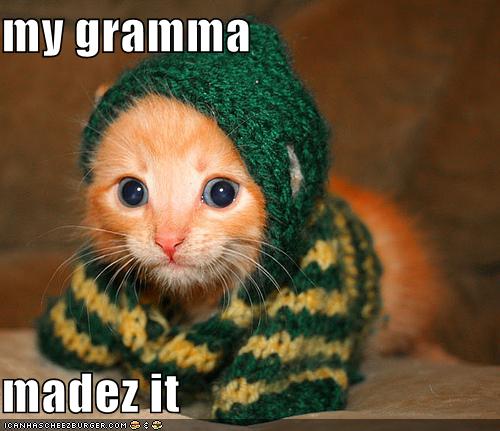funny-pictures-kittens-grandmother-made-a-sweater.jpg