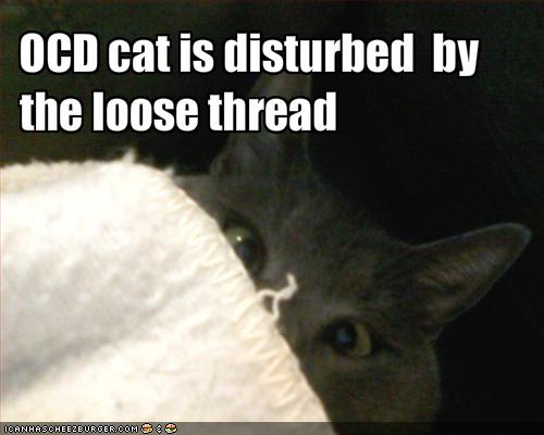 funny-pictures-ocd-cat-is-disturbed-by-loose-threads1.jpg